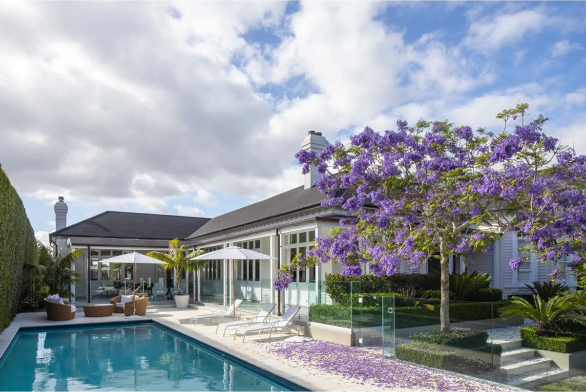 Sandstone pool coping and surround under a flowering jacaranda