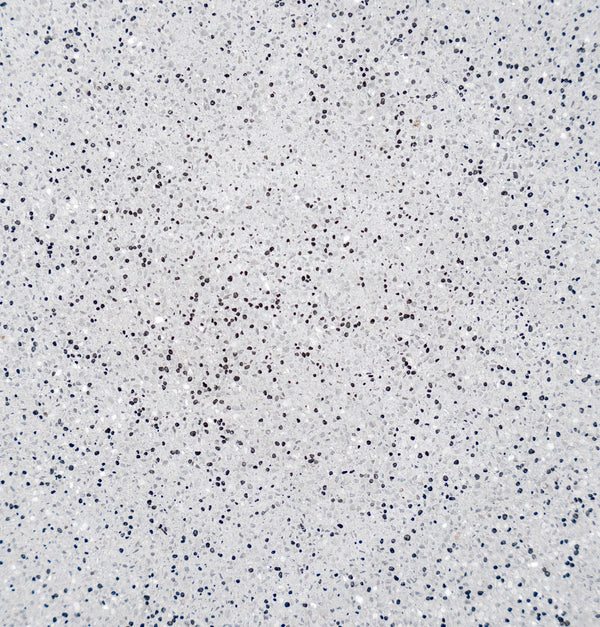 Ultra Quartz™ Pool Plaster – Nardo 20kg