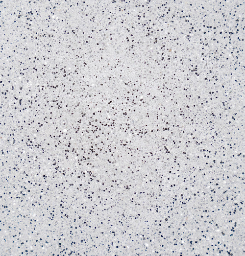 Ultra Quartz™ Pool Plaster – Nardo 20kg