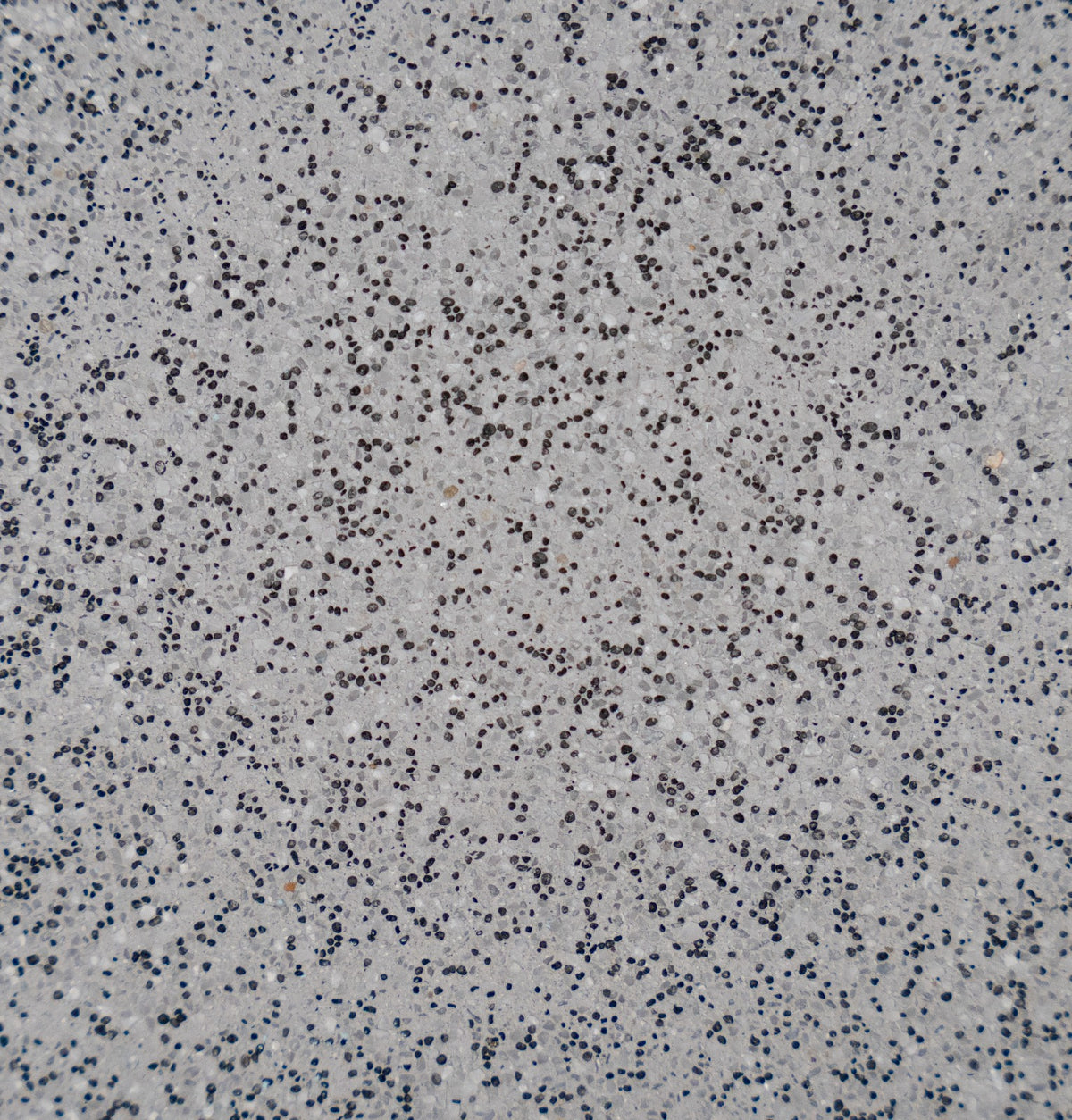 Ultra Quartz Volcanic Grey pool plaster colour swatch