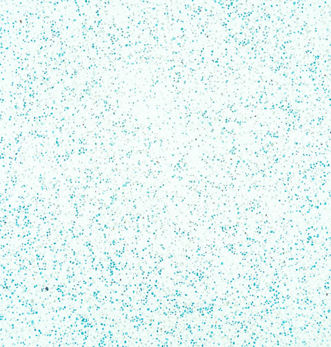 Ultra Quartz™ Pool Plaster – Aquamarine 20kg