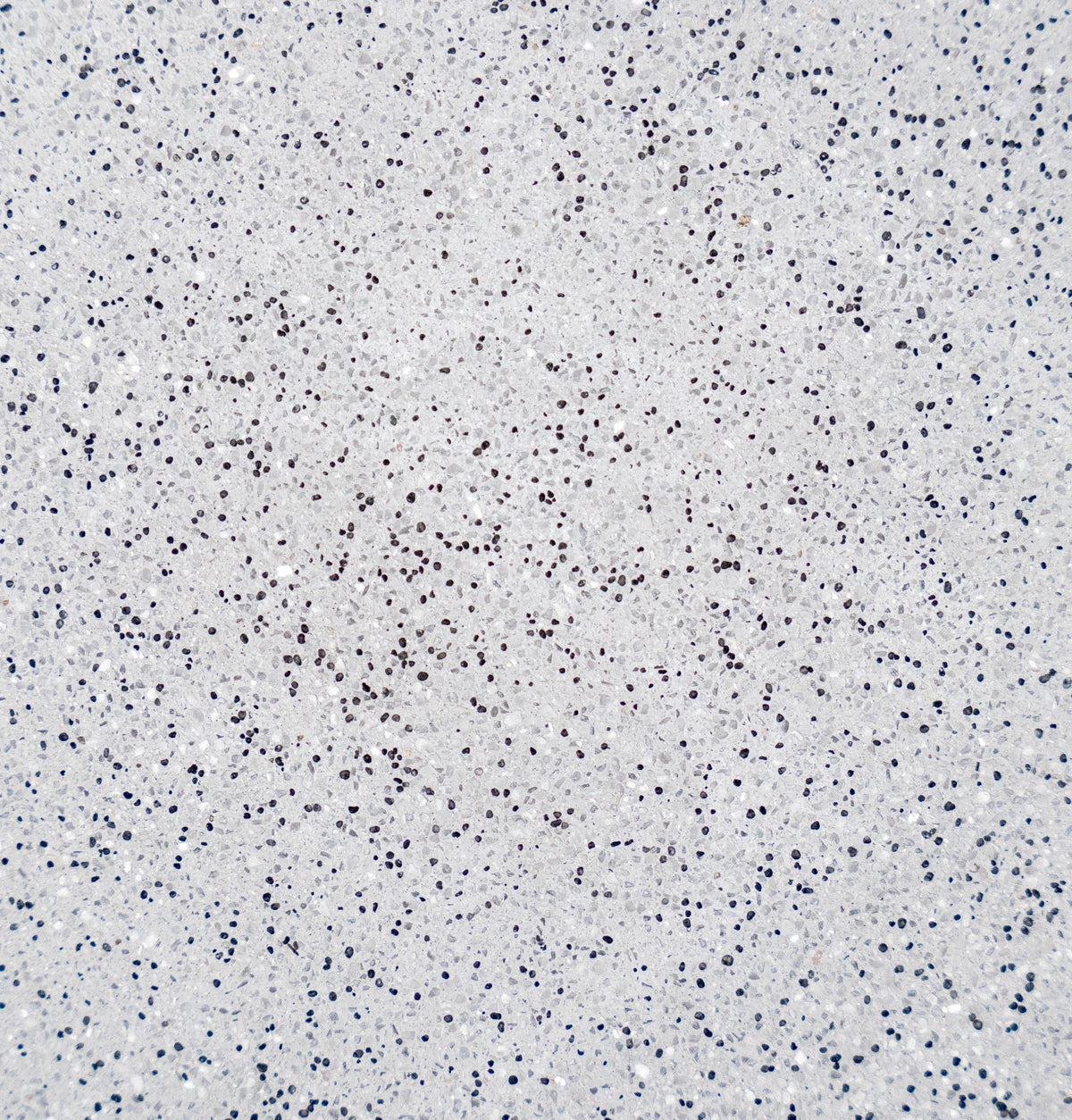 Ultra Quartz Nardo pool plaster colour swatch