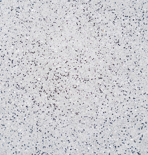 Ultra Quartz™ Pool Plaster – Nardo 20kg