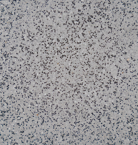 Ultra Quartz™ Pool Plaster – Volcanic Grey 20kg