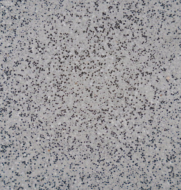 Ultra Quartz™ Pool Plaster – Volcanic Grey 20kg